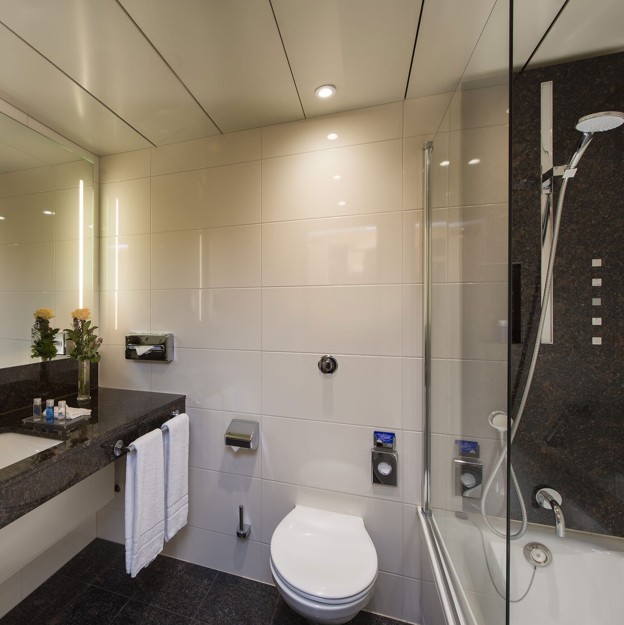 Salle de bain Salle de bain spacieuse avec douche, WC, miroir et vasque en granit