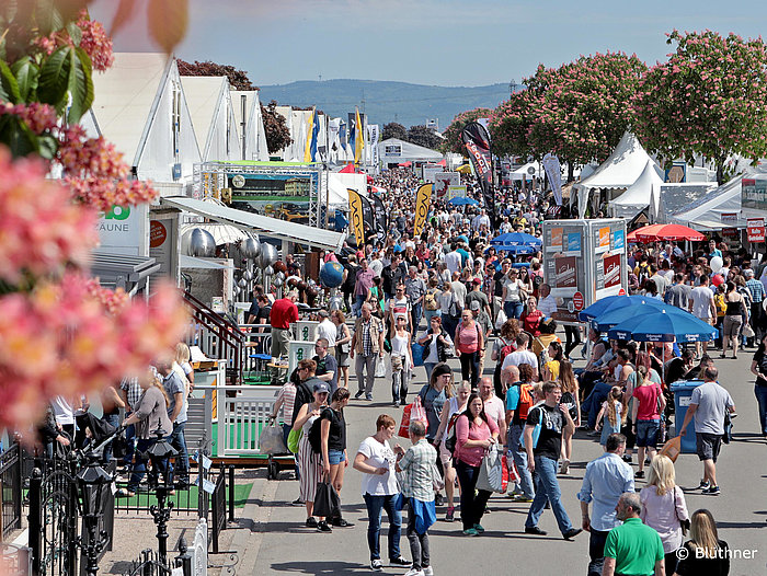 Maimarkt