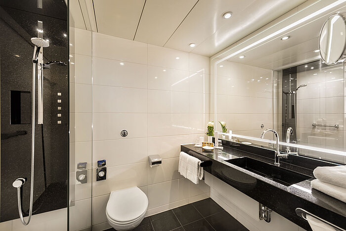 Bagno moderno con doccia e grande specchio al Maritim Hotel Bonn, elegantemente progettato con materiali di alta qualità.