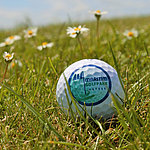 Golfball | Maritim Golfpark Ostsee