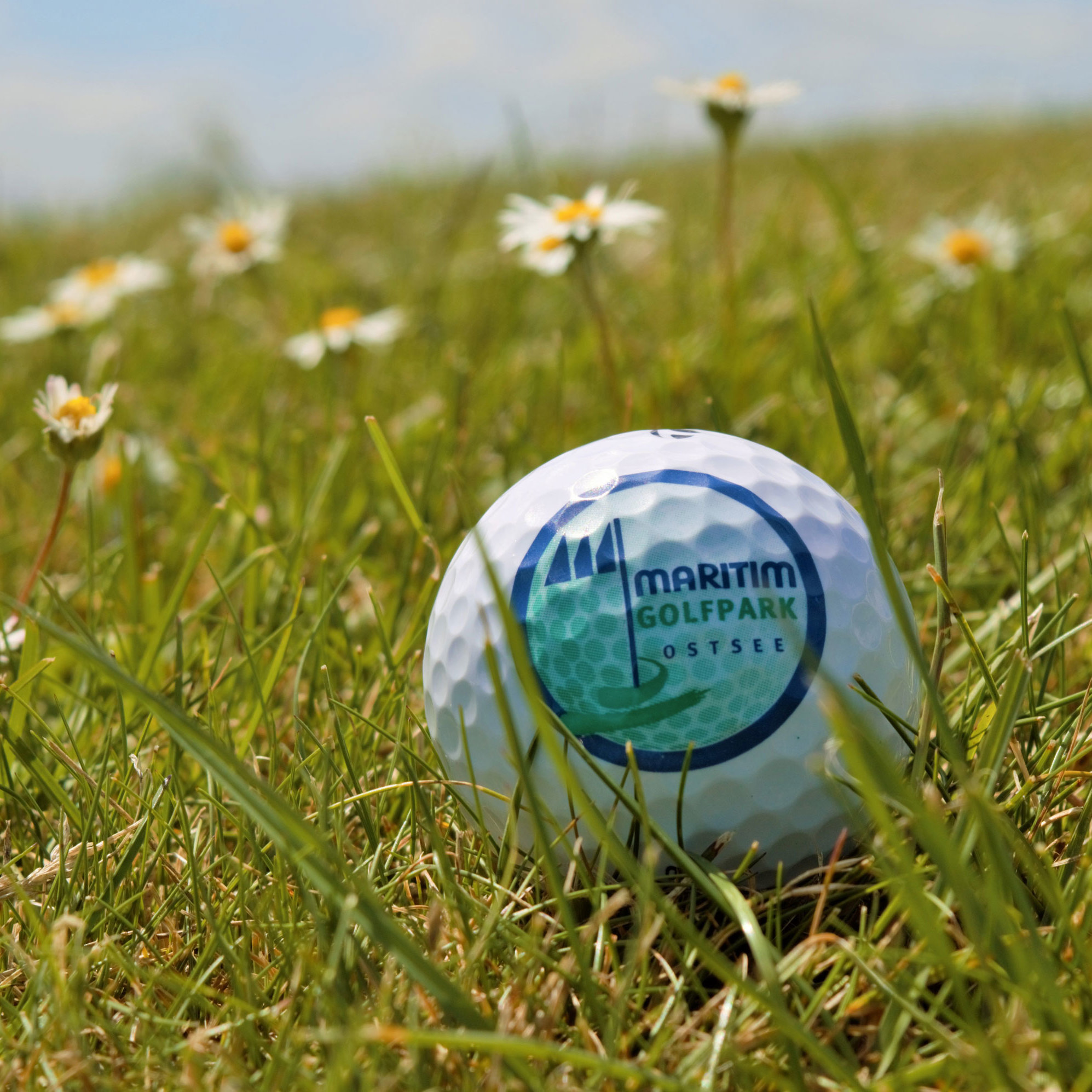 Golf ball | Maritim Golfpark Ostsee