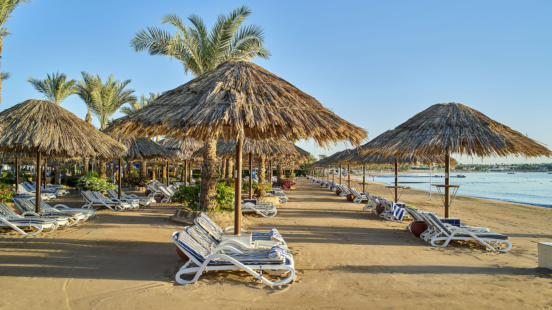 Beach Beach | Maritim Hotel Sharm El Sheikh