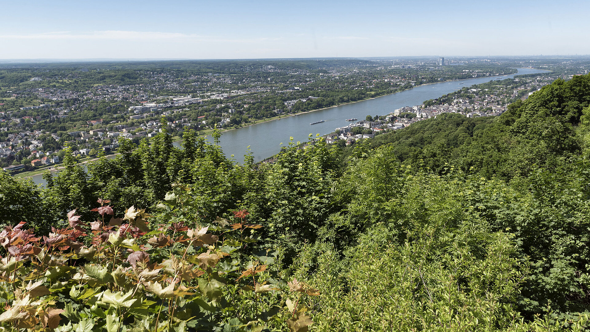Vue imprenable depuis Drachenfels sur le Rhin et les environs par beau temps.