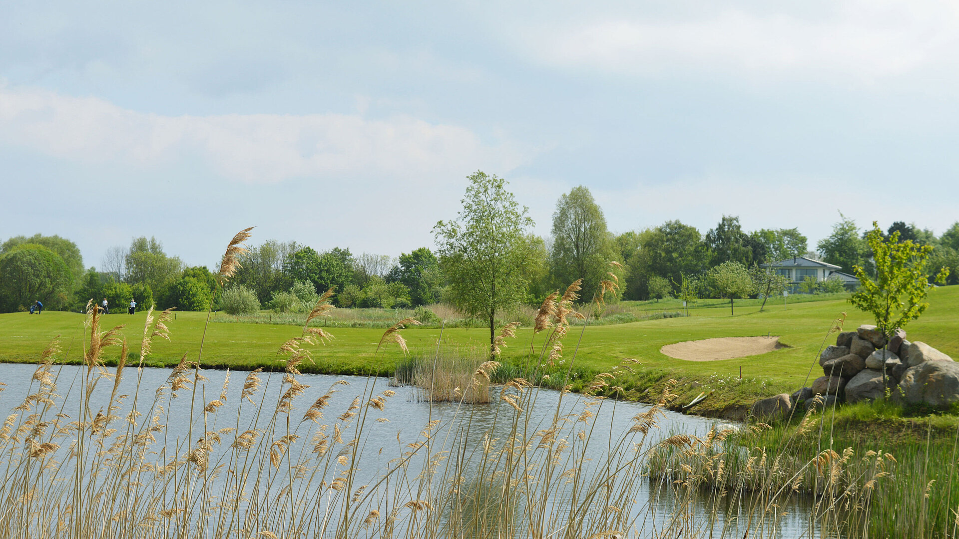 Terrain de golf avec étang | Maritim Golfpark Ostsee