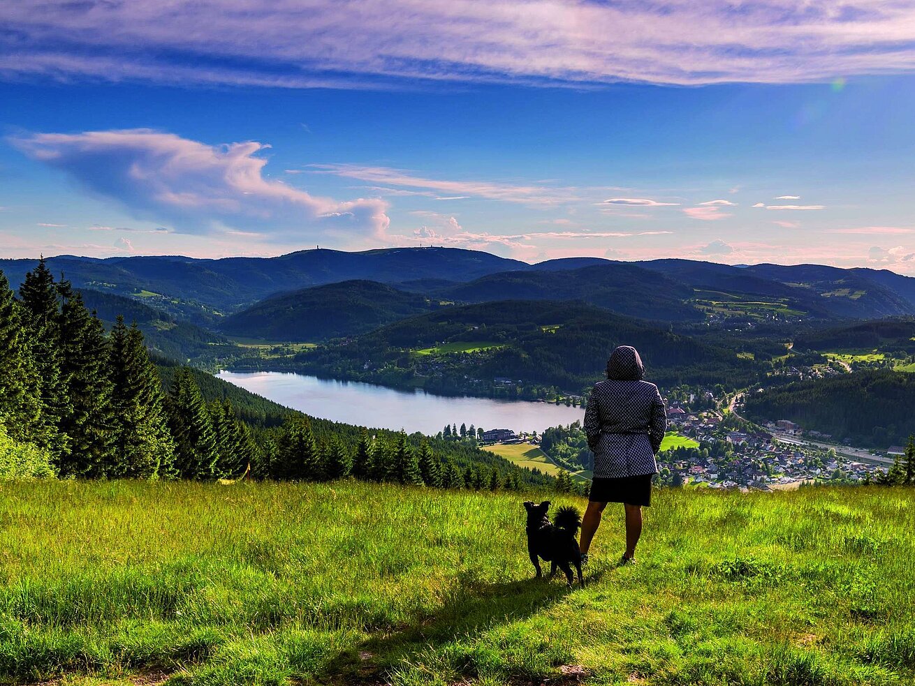 Hiker with dog above Lake Titisee in the Black Forest Woman with dog enjoying the view of Lake Titisee and the Black Forest landscape from Hochfirst