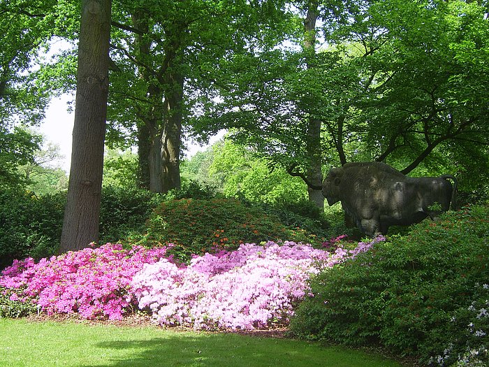 Rhododendronpark a Berlino