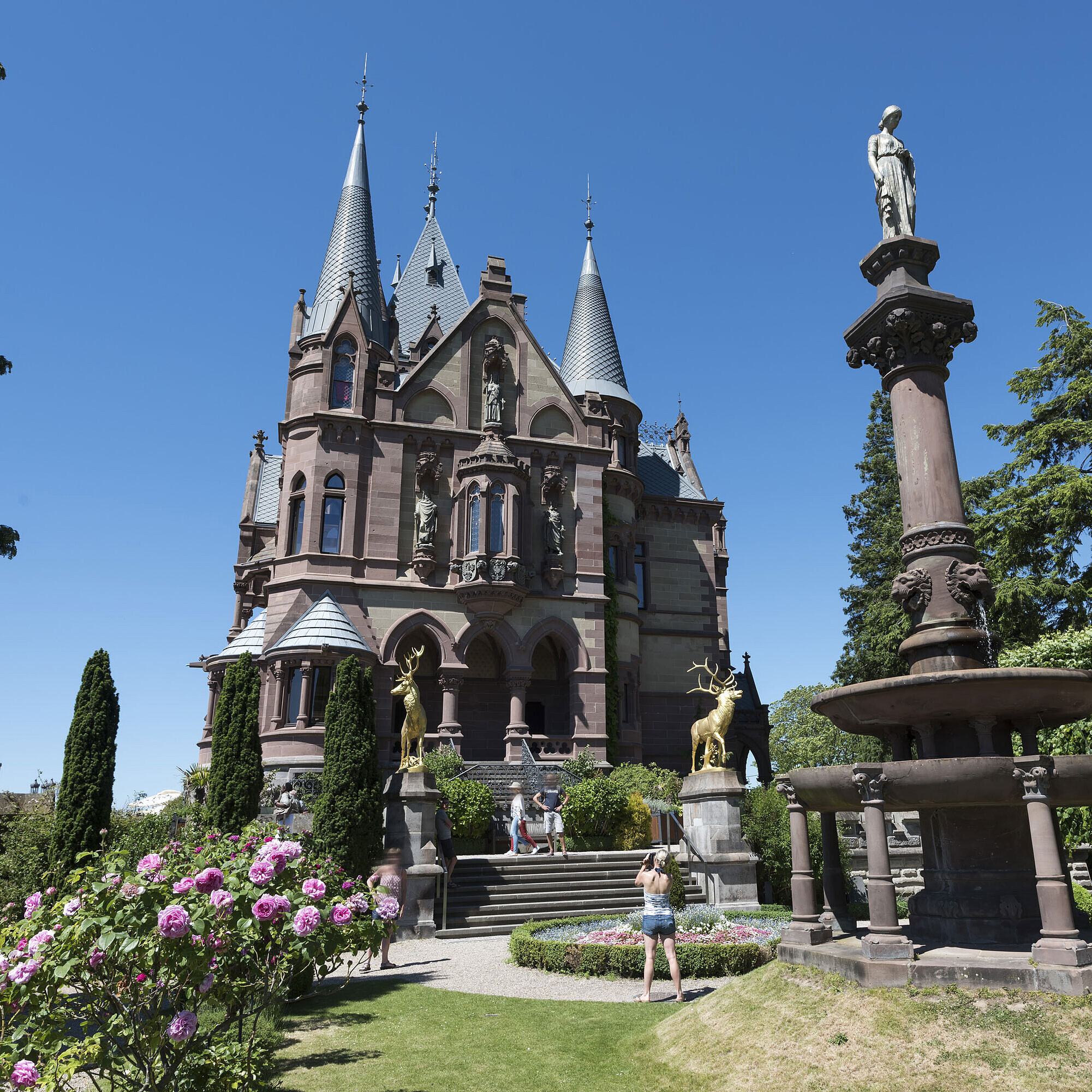 The magnificent Drachenburg Castle with an artistic fountain and blooming garden.