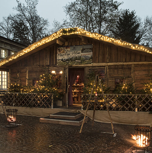 Maritim Alm Stuttgart at dusk with Christmas lights, fir trees and fire baskets in front of Maritim Hotel