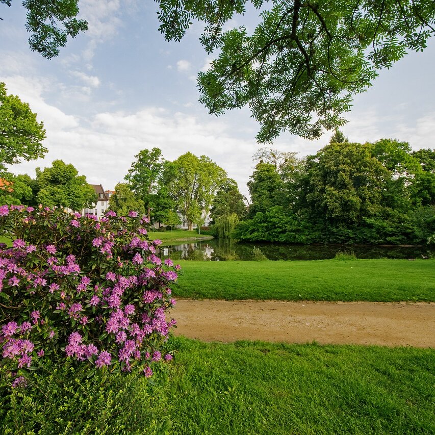 Garden in Darmstadt