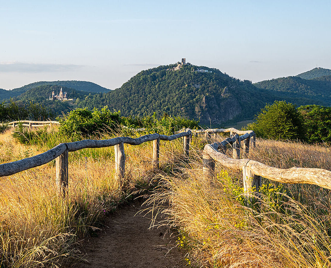 Hiking trail in the Siebengebirge near Königswinter with views of wooded hills and natural scenery.