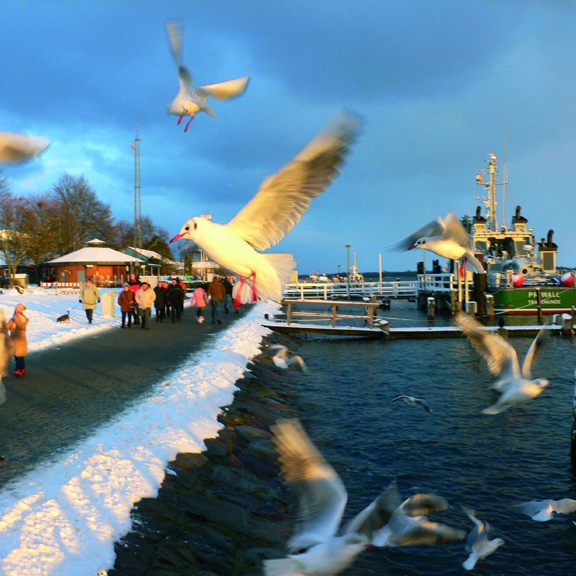 Travemuende in winter