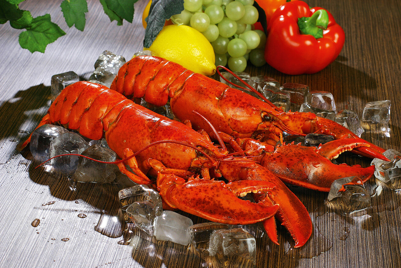 Homard