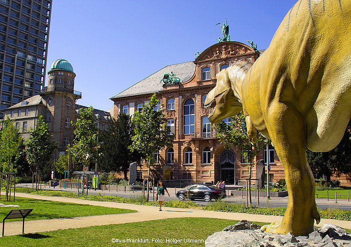 Senckenberg Naturmuseum 