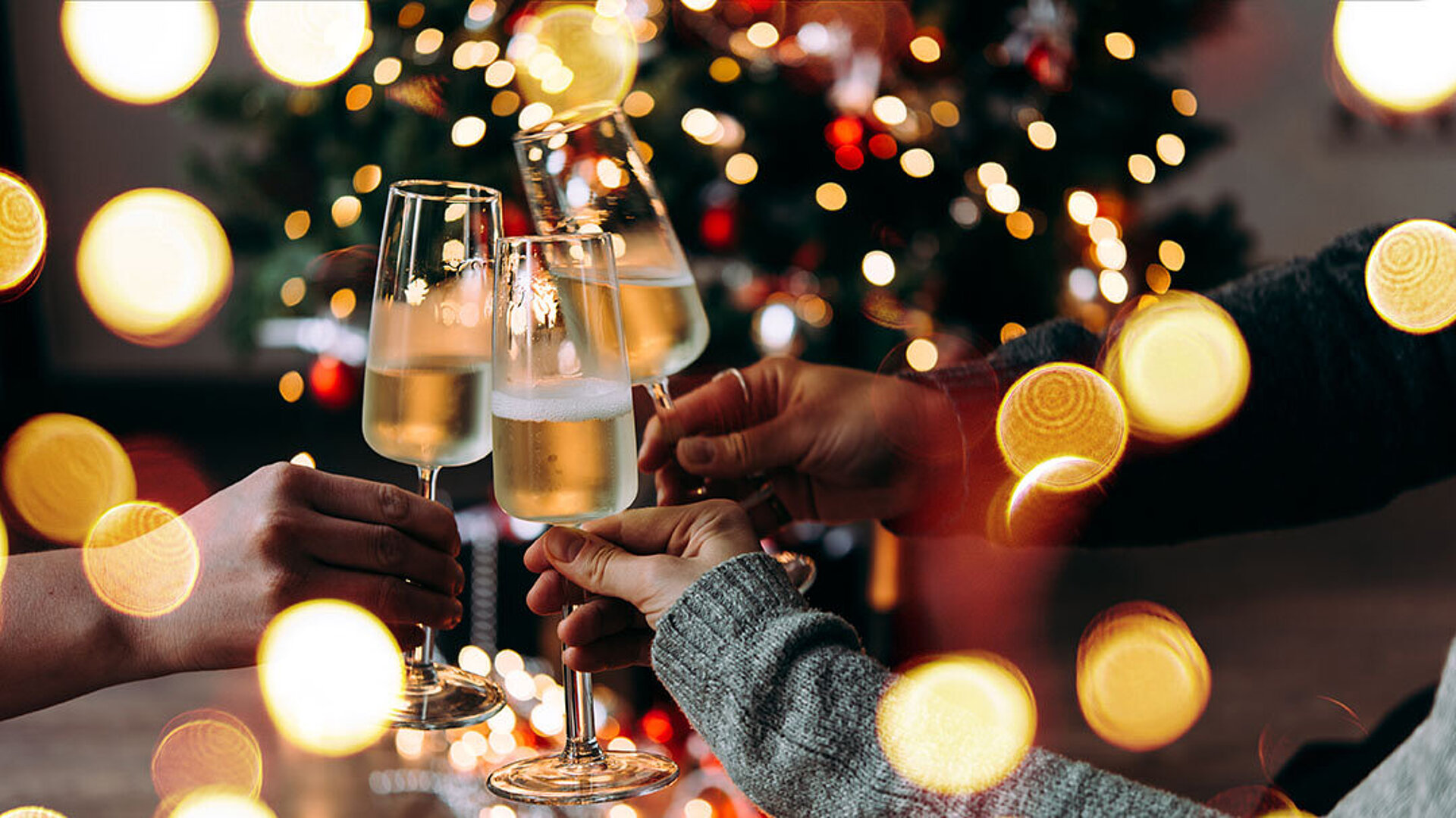 © Gregory Lee - AdobeStock.com Three people clinking champagne glasses in front of a festively lit Christmas tree
