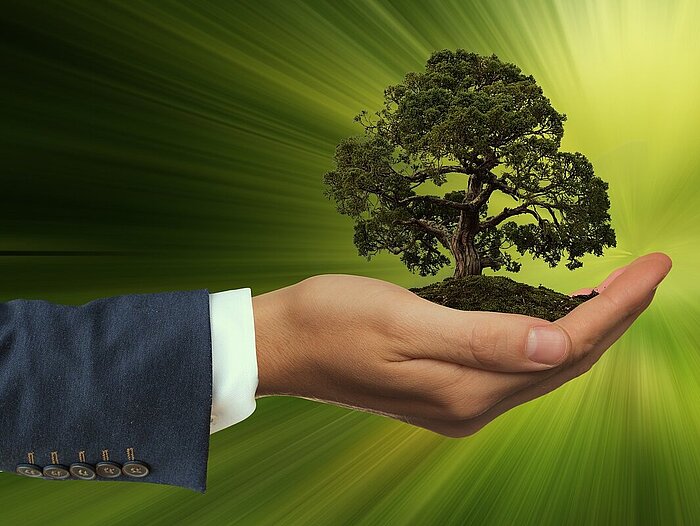 Sustainability