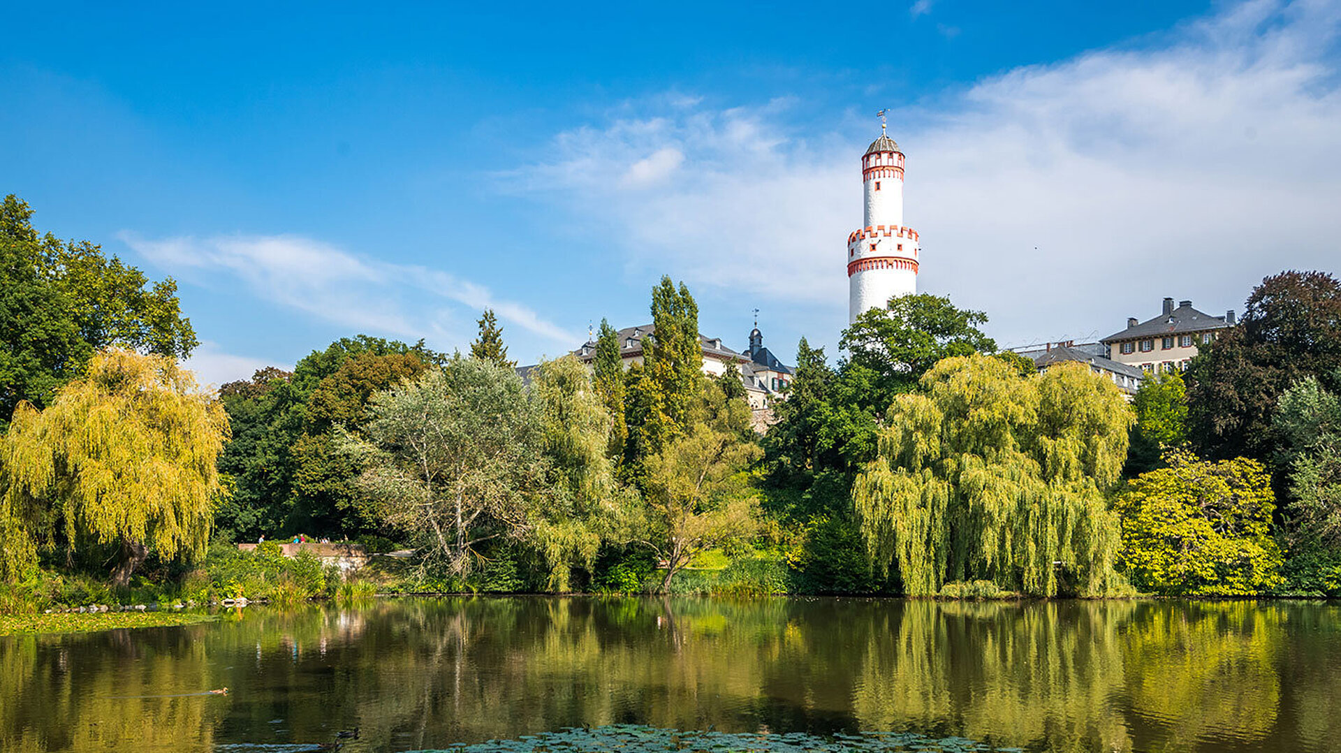 Vue sur le parc thermal de Bad Homburg avec un étang de nénuphars, une végétation luxuriante et la Tour Blanche en arrière-plan.