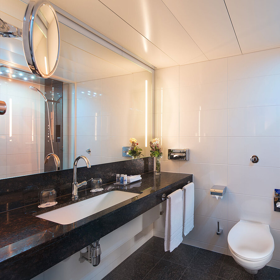 Salle de bain Salle de bain spacieuse avec douche, WC, miroir et vasque en granit