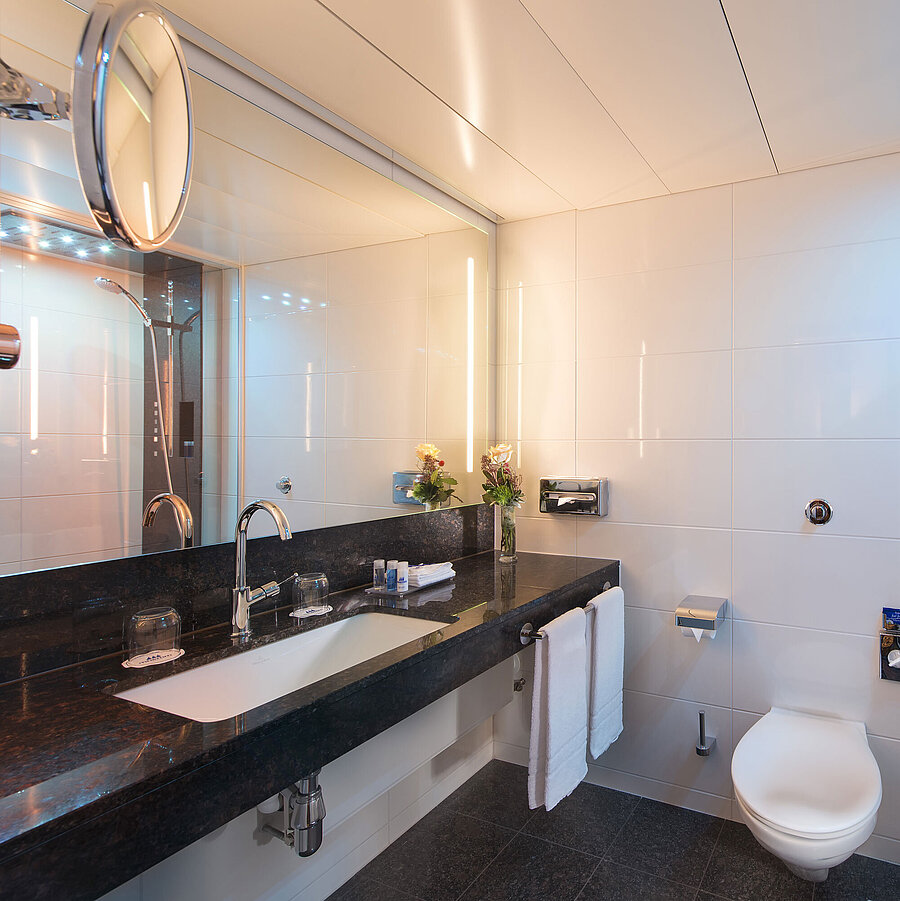 Bagno Bagno spazioso con doccia, WC, specchio e lavabo in granito