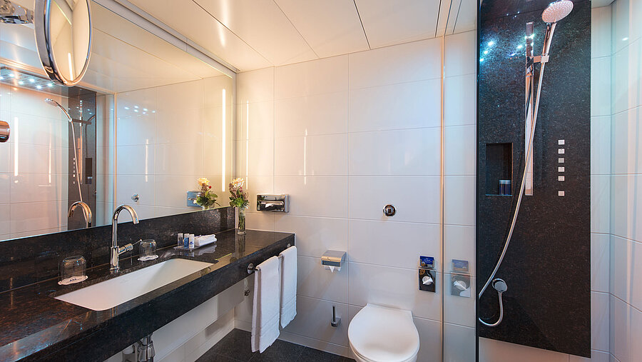 Salle de bain spacieuse avec douche, WC, miroir et vasque en granit