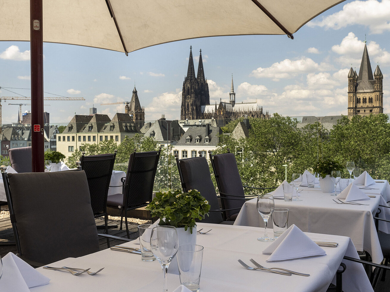 Terraza en la azotea con vistas al Rin y al puente Hohenzollern, con mesas puestas bajo sombrillas.