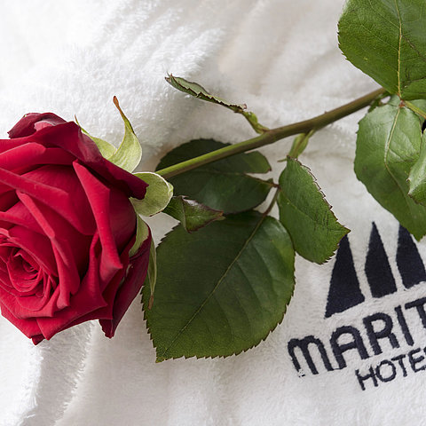 Bienvenue à l'hôtel Maritim