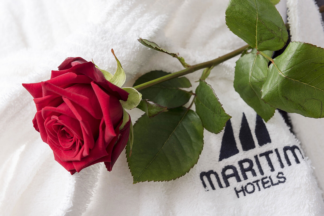 Welcome to Maritim Hotel