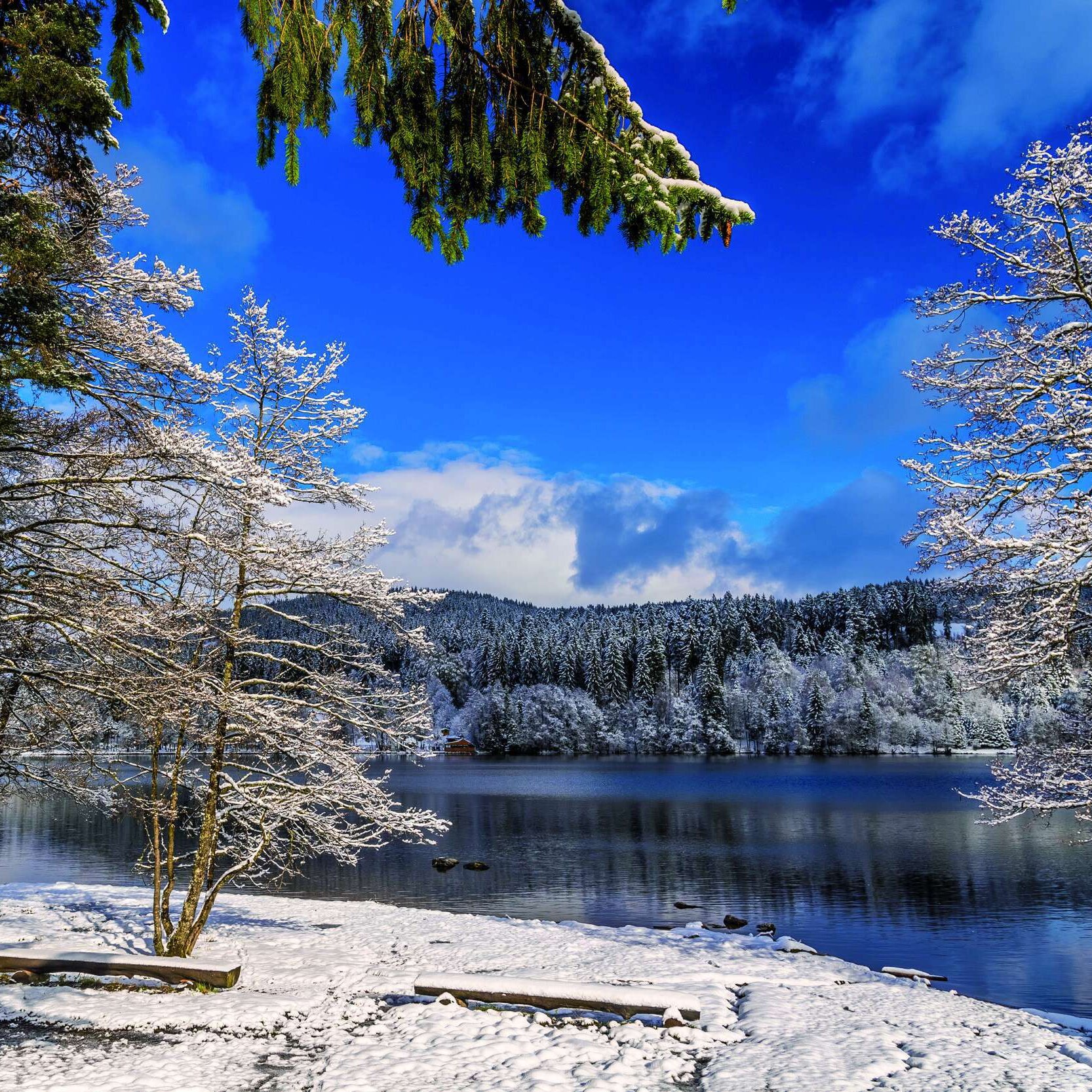 Winter on Lake Titisee | Maritim Hotel Titisee