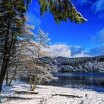 Winter on Lake Titisee | Maritim Hotel Titisee