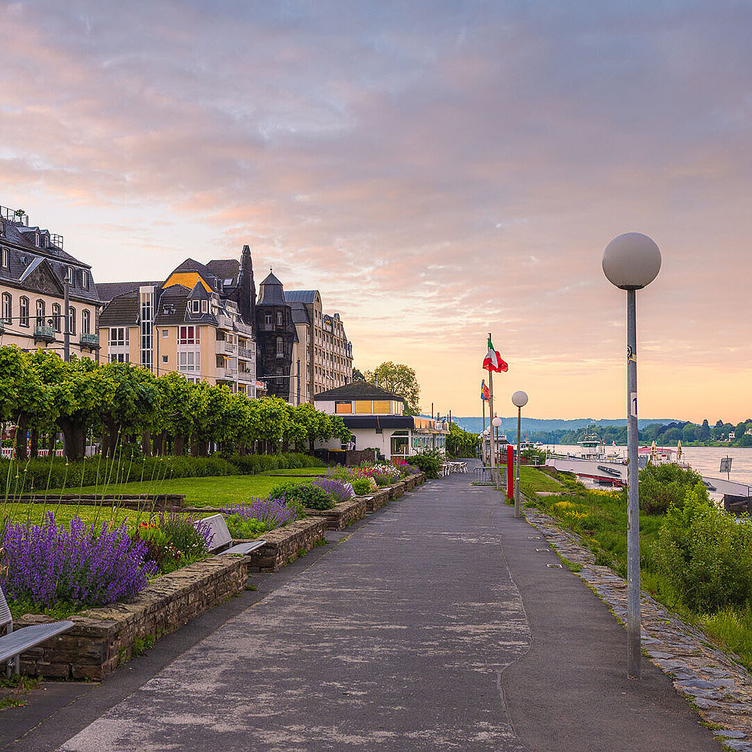Rhine promenade in Königswinter with flower beds, walking path and views of the River Rhine at dusk.