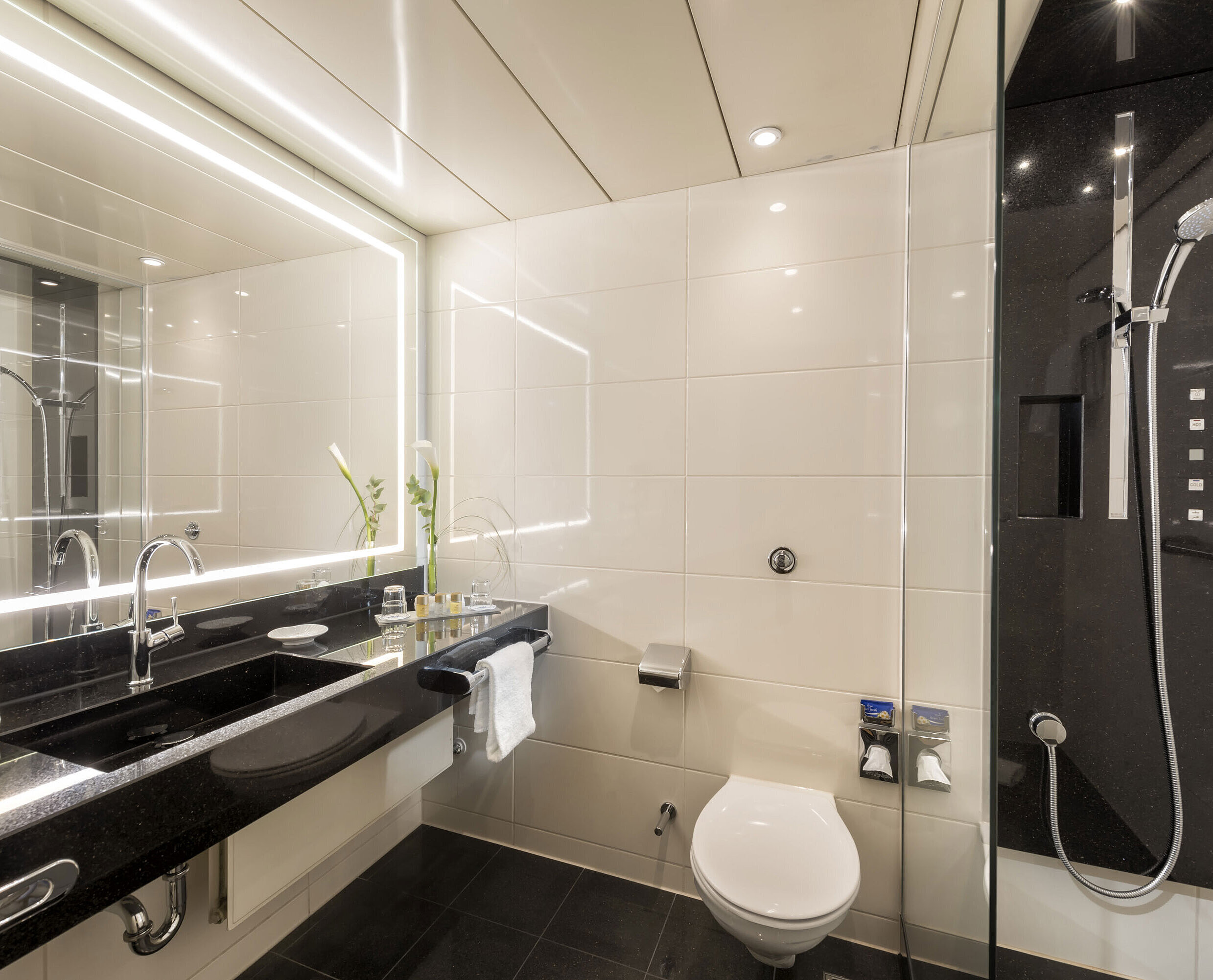 Bagno con doccia Bagno moderno con ampia doccia, lavabo elegante, prodotti da bagno di alta qualità e design raffinato al Maritim Hotel Bonn.