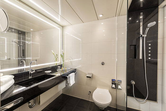 Bagno moderno con ampia doccia, lavabo elegante, prodotti da bagno di alta qualità e design raffinato al Maritim Hotel Bonn.