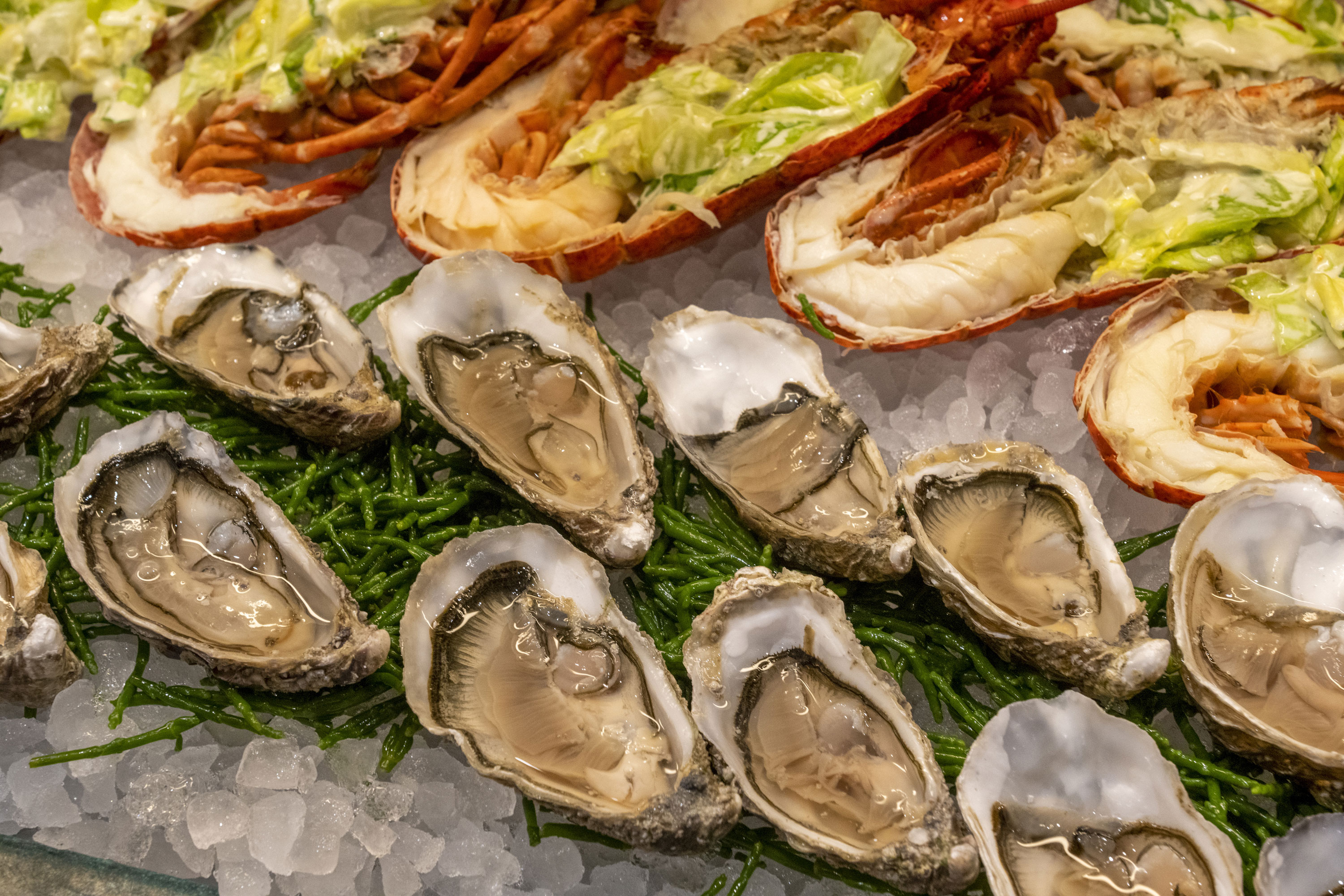 Exclusive lobster buffet with fresh lobster, oysters, and sushi at Maritim proArte Hotel Berlin.